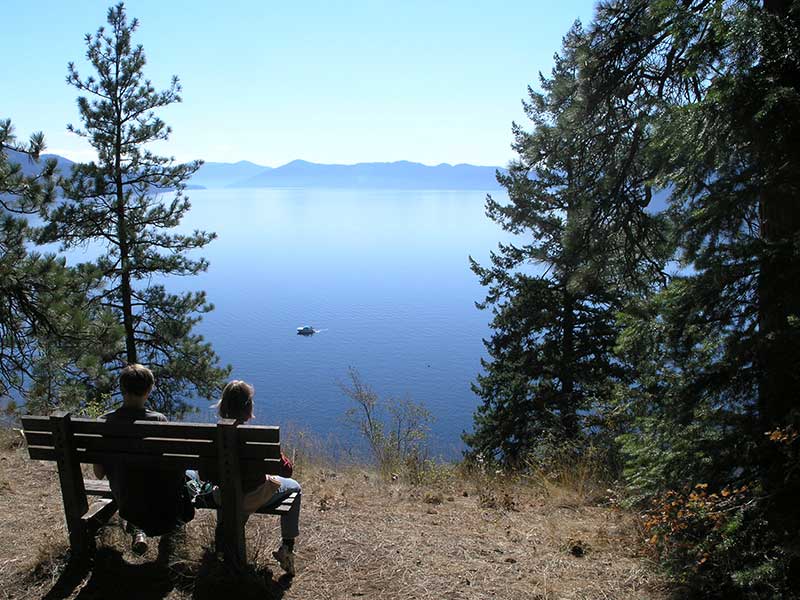 The serene beauty of the Mineral Point Interpretive Trail awaits adventurers.