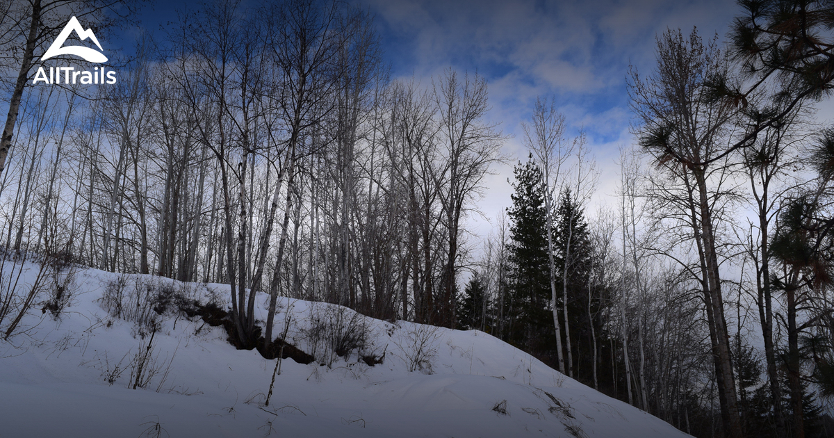 Experience the natural beauty of Sandpoint with a hike on the Pend d'Oreille Bay Trail or the scenic Sandpoint Trail.